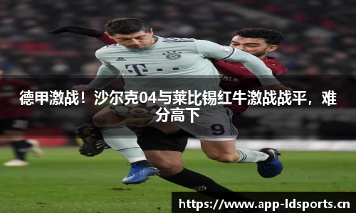 ld乐动体育平台